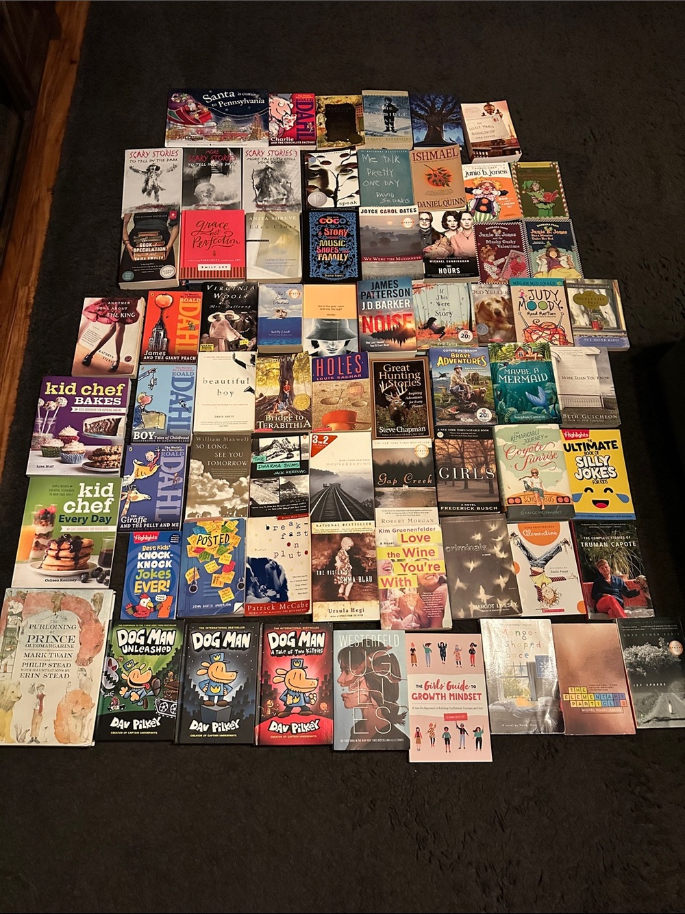 Large Mixed Book Lot - Assorted Colors